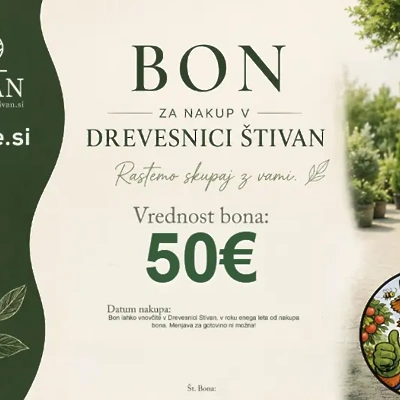 Darilni bon Drevesnice Štivan 50€